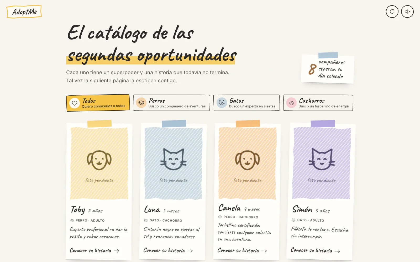 El catálogo: los recortes de las mascotas en adopción y sus filtros